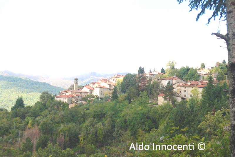 QUOTA: PANORAMA 2' IMMAGINE